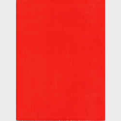 Danskernes Egen Historie - Bonus DVD (2000)