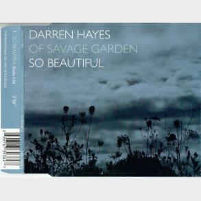 Darren Hayes - So Beautiful (2005) (Promo)