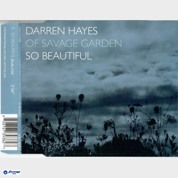 Darren Hayes - So Beautiful (2005) (Promo)