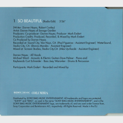 Darren Hayes - So Beautiful (2005) (Promo)