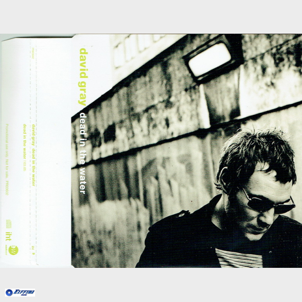 David Gray - Dead In The Water (2002)