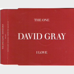David Gray - The One I Love (2005) (Promo)
