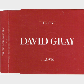 David Gray - The One I Love (2005) (Promo)