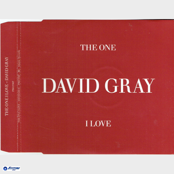 David Gray - The One I Love (2005) (Promo)