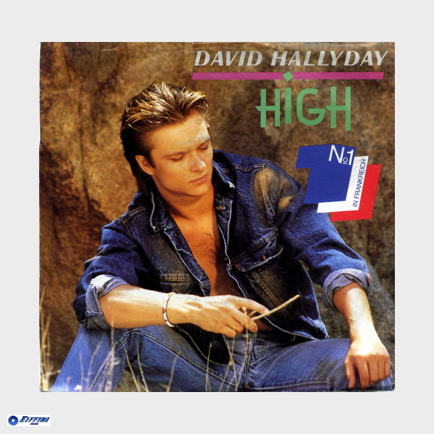 David Hallyday - High (1988)