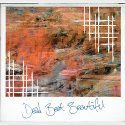 Deal Beat Beautiful - Can't See Without A Light (2009)