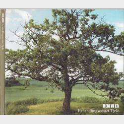 Dem Vi Er Behandlingscenter Tjele (Digi)