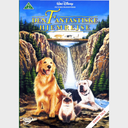 Den Fantastiske Hjemrejse (1993)
