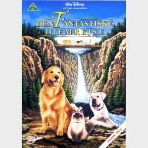 Den Fantastiske Hjemrejse (1993)