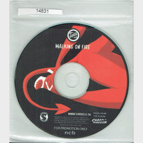 Diva - Walking On Fire (2004) (Promo)