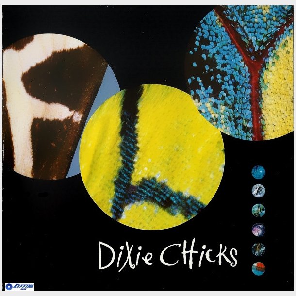 Dixie Chicks - Fly (1999)