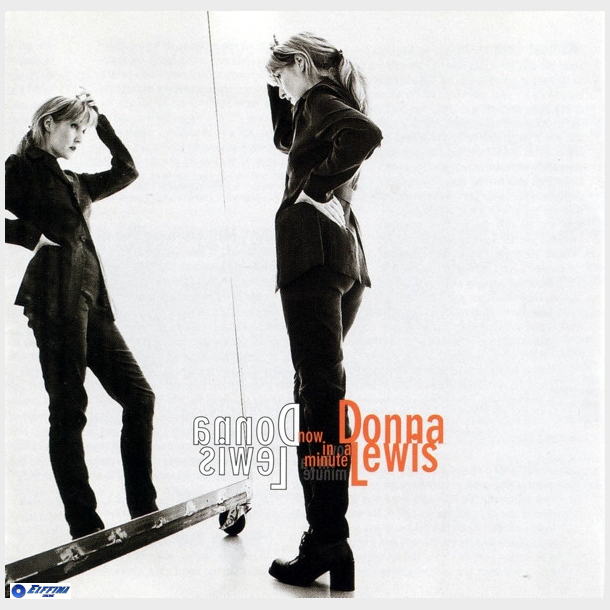 Donna Lewis - Now In A Minute (1996)