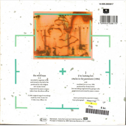 Duran Duran - The Wild Boys (Gul Label) (1984)