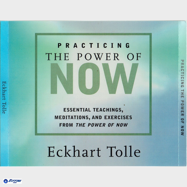 Echart Tolle - Practicing The Power Of Now (Fat)