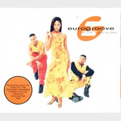 Eurogroove - It's On You (Scan Me) (1995)