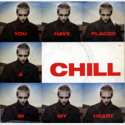 Eurythmics - You Have Placed A Chill In My Heart (1987)