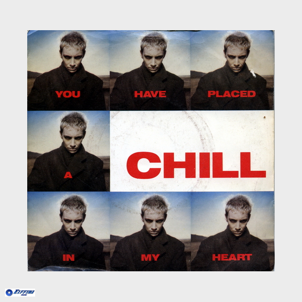 Eurythmics - You Have Placed A Chill In My Heart (1987)