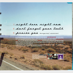 Fatboy Slim - Right Here, Right Now (1999)