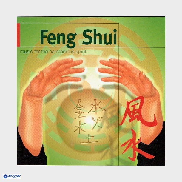 Feng Shui (2004)