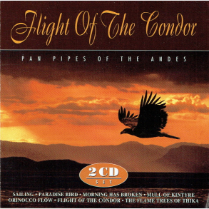 Flight Of The Condor (1995)