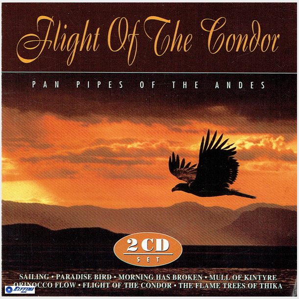 Flight Of The Condor (1995)