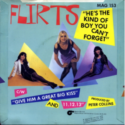 Flirts, The - He's The Kind Of Boy You Can't Forget (1979)