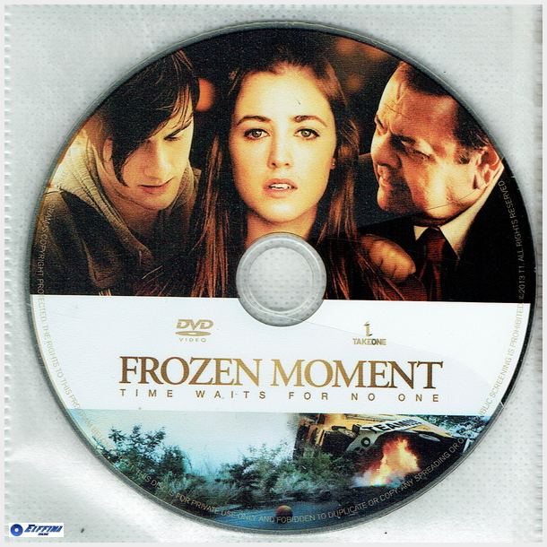 Frozen Moments (2013)