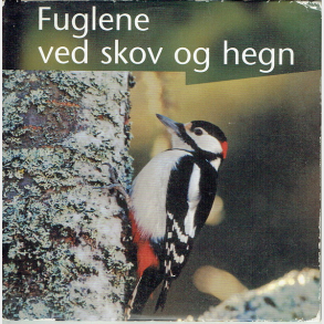 Fuglene Ved Skov & Hegn