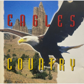 Full Moon Guitars - Eagles Country