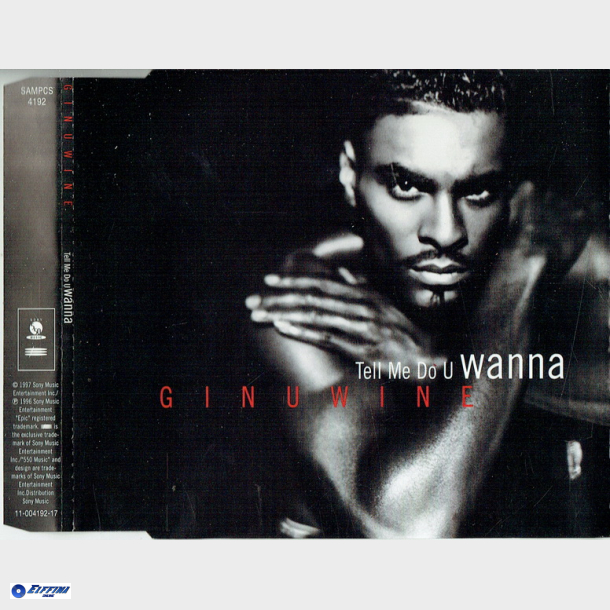 Ginuwine - Tell Me You Wanna (1997)