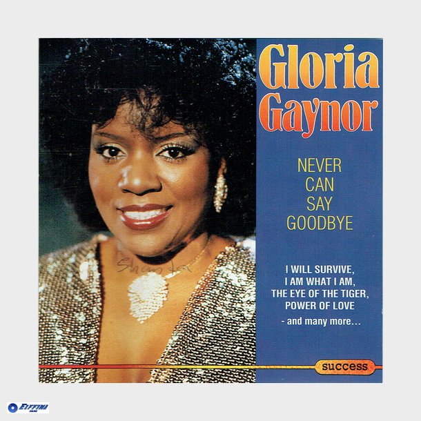 Gloria Gaynor - Never Can Say Goodbye (1986) - NY