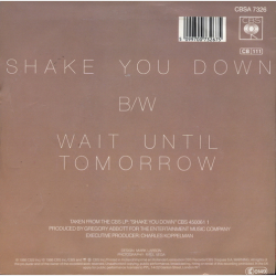 Gregory Abbott - Shake You Down (1986)