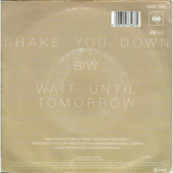 Gregory Abbott - Shake You Down (1986)