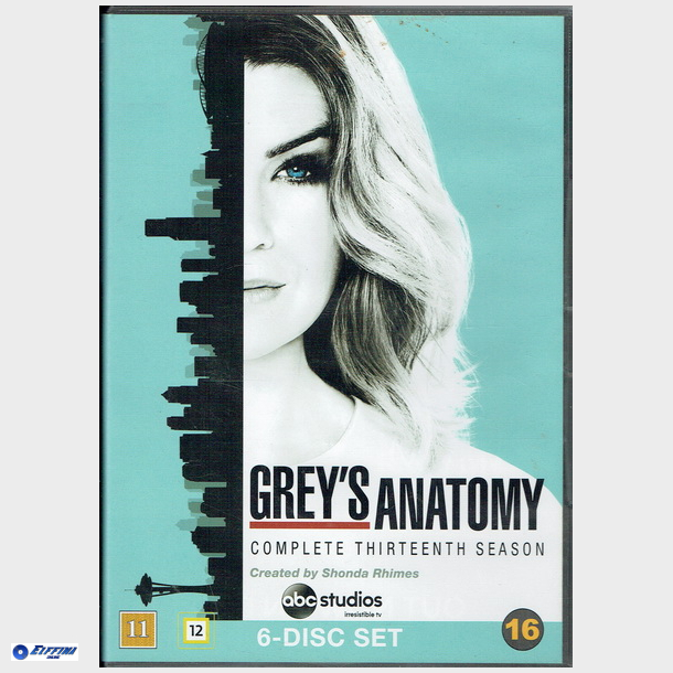 Grey's Anatomy Complete Thirteen Season