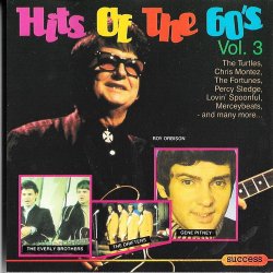 Hits Of The 60's Vol 3 (1989) (Success 2145 CD)