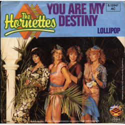 Hornettes, The - You Are My Destiny (1980)