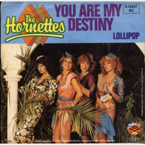 Hornettes, The - You Are My Destiny (1980)