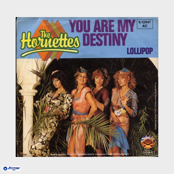 Hornettes, The - You Are My Destiny (1980)