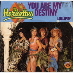 Hornettes, The - You Are My Destiny (1980)