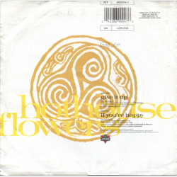 Hothouse Flowers - Give Up (1990)
