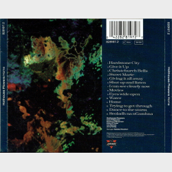 Hothouse Flowers - Home (1990)