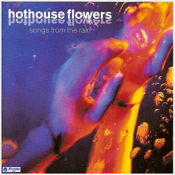 Hothouse Flowers - Songs From The Rain (1993)