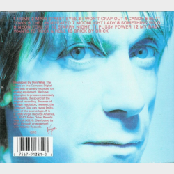 Iggy Pop - Brick By Brick (1990)