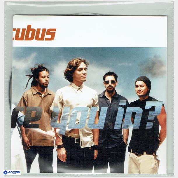 Incubus - Are You In (2002)