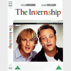 Internship (2013)