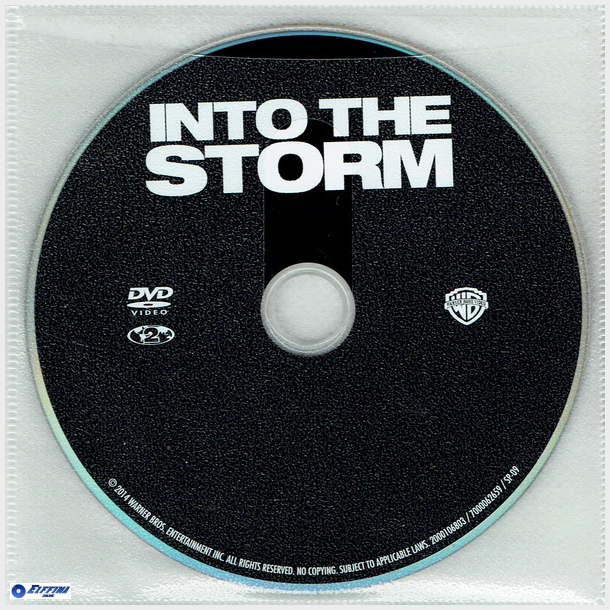 Into The Storm (2014)