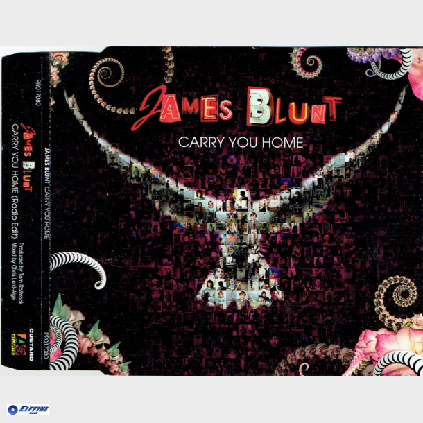 James Blunt - Carry You Home (2008) (Promo)