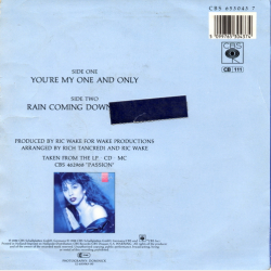 Jennifer Rush - You're My One &amp; Only (1988)