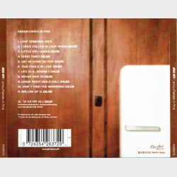 Jette Torp - Snowflakes In Fire (2002)