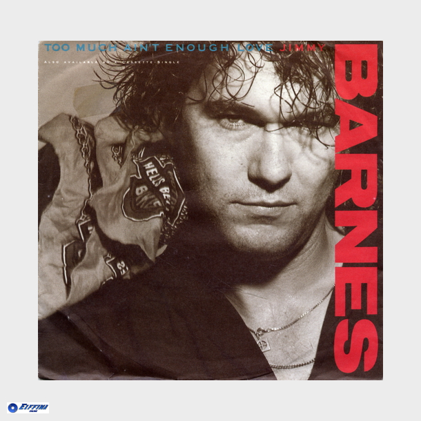 Jimmy Barnes - Too Much Ain't Enough Love (Edit) (1988)